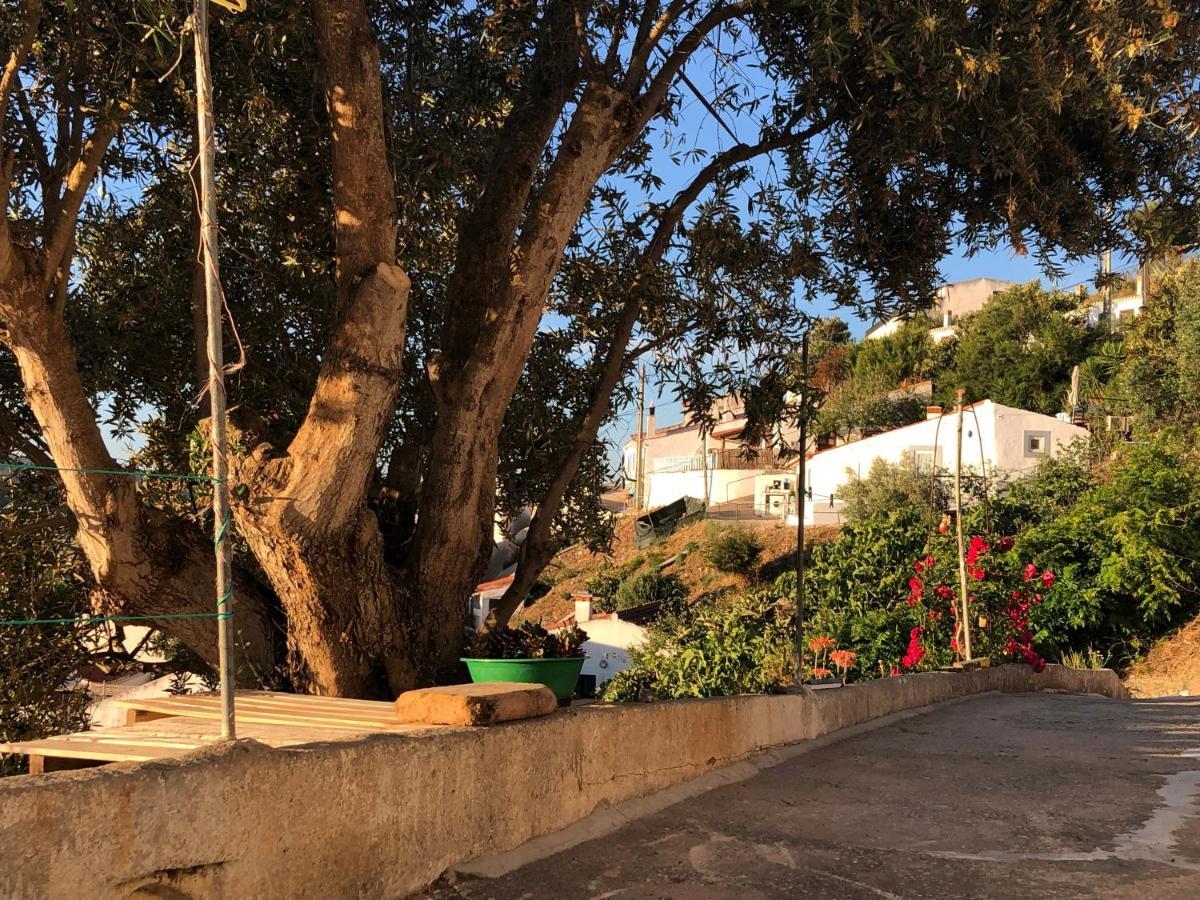 Villa Casa Anneli - Relaxing Under The Olive Tree Aljezur Exterior foto