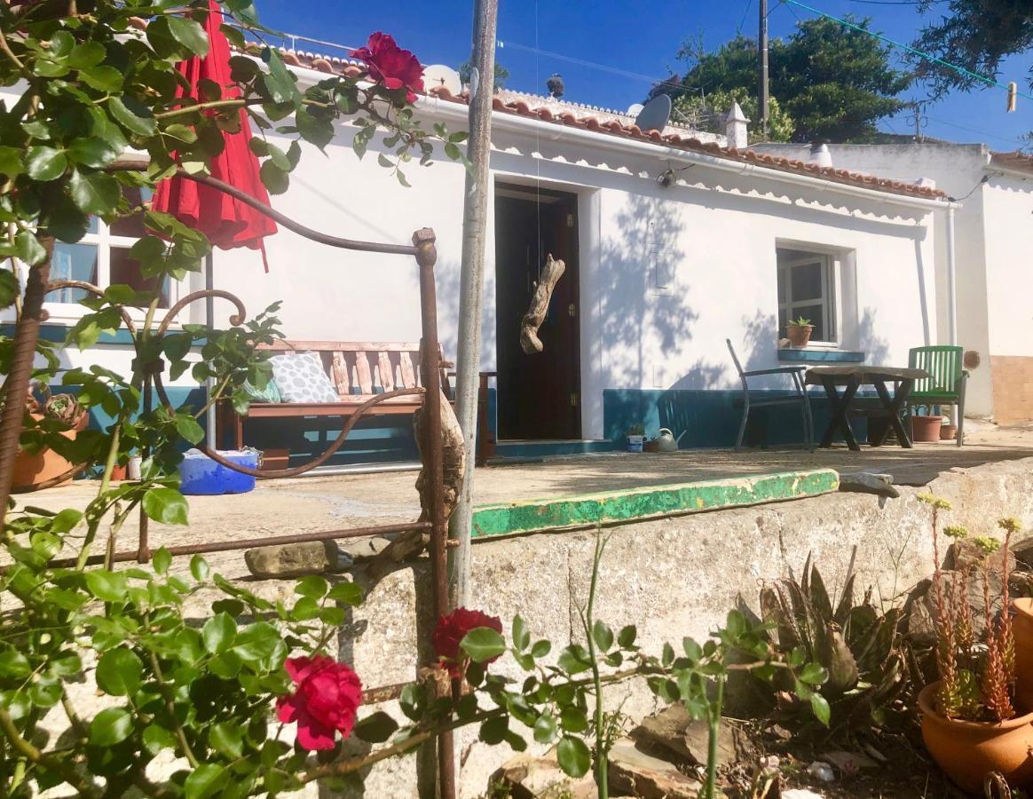 Villa Casa Anneli - Relaxing Under The Olive Tree Aljezur Exterior foto