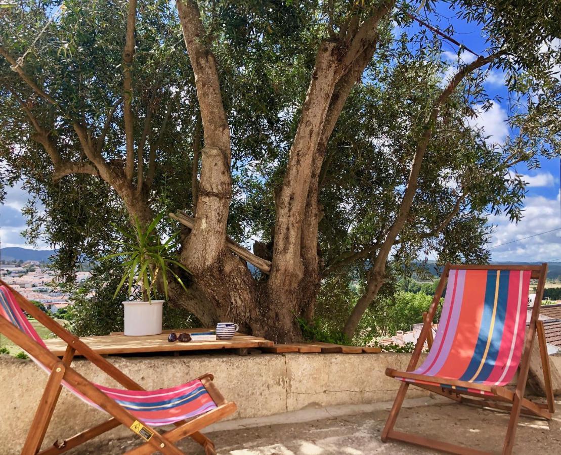 Villa Casa Anneli - Relaxing Under The Olive Tree Aljezur Exterior foto