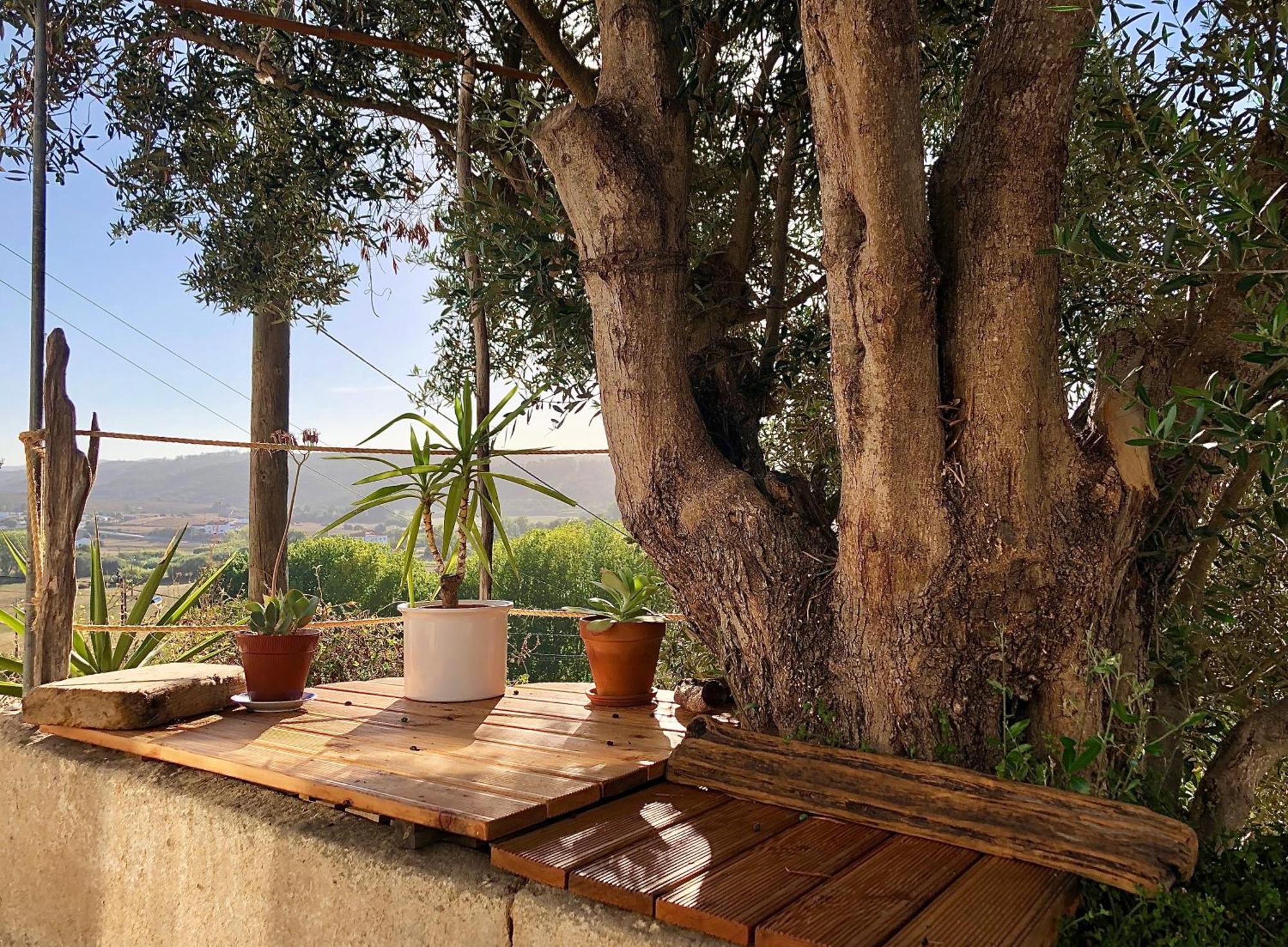 Villa Casa Anneli - Relaxing Under The Olive Tree Aljezur Exterior foto